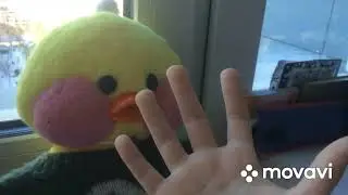 Влог: Утро уточки Моники ❤️🥺❤️🥺