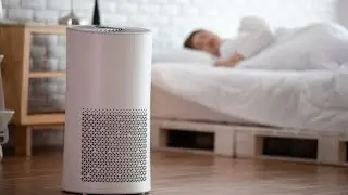 5 Best Air Purifiers for Home of 2022