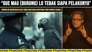 KASUS YANG DIPECAHKAN OLEH BURUNG? | Marty dan Glenna Duram