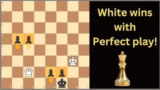 Beautiful Chess Puzzle with a 