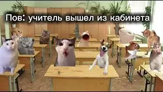 Пов:учитель вышел из класса #meme #рекомендации #а4 #кот