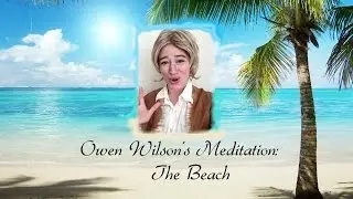 Owen Wilson's Meditation Pt. 2 "The Beach" | Melissa Villaseñor