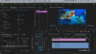 Create, Modify & Use an Adjustment Layer in Adobe Premiere Pro