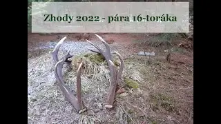 Zhody 2022 - pára 16-toráka / Zrzuty 2022 para 16-staka...