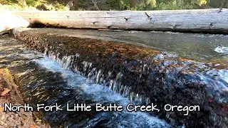 Peaceful Natural Water Sounds - North Fork Little Butte Creek, Oregon - ASMR - no music 20 minutes