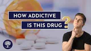 Are the Drugs I'm Taking Addictive? Reviewing US Drug Laws & Controlled Substances 