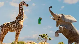 Elephant vs Giraffe Water Bottle Fight