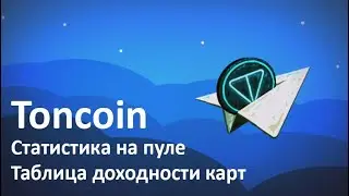 Таблица хешрейта Toncoin, Статистика дохода на пуле.