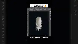 how to select feather 