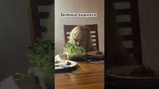 Зелёные  Хищники
