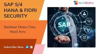 SAP S4 HANA Database and Fiori Security By TechBrainz