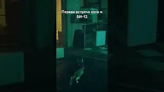 ПЕРВАЯ ВСТРЕЧА РЫЖЕГО и БИ-12 | ЛУЧШИЙ СИМУЛЯТОР КОТА #shots #игры #videogames #stray #приключения