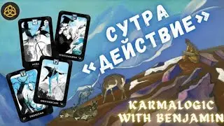 Аудиокнига KARMALOGIC. Сутра «ДЕЙСТВИЕ» (девять законов) / Озвучивает Сергей Чонишвили