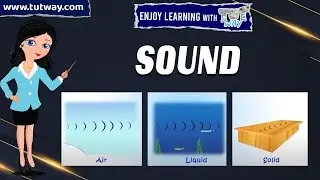 Sound | Sound Waves | How Does Sound Travel? | Sound Propagation | Sound Transmission | Science