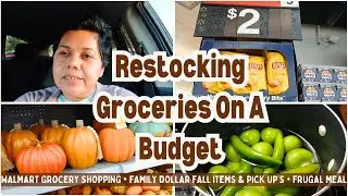 FRUGAL GROCERY RESTOCK ON A TIGHT BUDGET | LOW INCOME LIVING