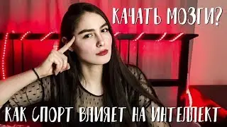 Качать мозг: как спорт влияет на интеллект