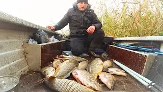 ВОТ ЭТО РЫБАЛКА! ПОЛНАЯ ЛОДКА ОГРОМНЫХ КАРАСЕЙ, САЗАНОВ. Рыбалка на сазана и огромного карася.