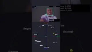 Realtime Detection of Feelings Using AI