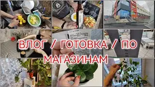 ГОТОВКА / НОВЫЙ МАНИКЮР /ЗНАКОМСТВО / ЗА ШКАФОМ / ПРО ЦВЕТЫ /31 марта 2024 г.