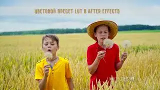 Пресеты в программе After Effects