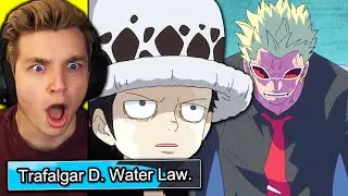 LAW'S REAL NAME REVEALED!! (one piece reaction)