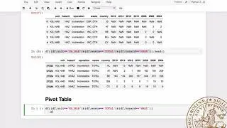 PANDAS: 3. Pivot Table