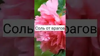 Оберёг от врагов#shorts