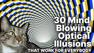 Optical Illusions that Work for Everybody - by Still (1440p/60fps)