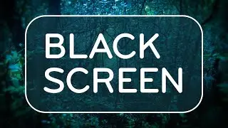 Black Screen Rain in Forest White Noise 🌧️🌲🌧️  Rainstorm Sounds for Sleep