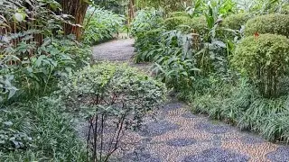 Creative Garden Path Ideas