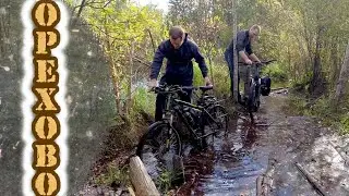 Прокатились по болотам и пескам Ореховского заказника