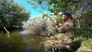 Между двух ЛОХОВ ЗАКИНУЛ ПОПЛАВОК. КАРАСЯМБА. Рыбалка на поплавочную удочку. Рыбалка на поплавок.