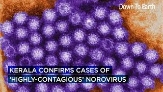 Kerala confirms two cases of ‘highly-contagious’ Norovirus in children