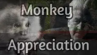 Monkey Appreciation