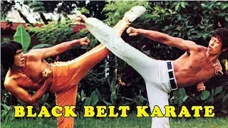 Wu Tang Collection - Black Belt Karate