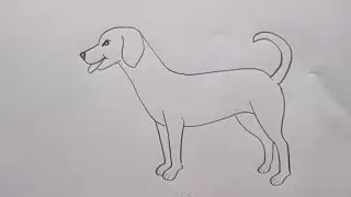 how to draw dog drawing easy step by step 