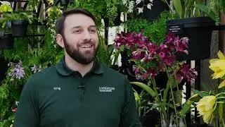 A Tour of our Orchid House with Curator Greg Griffis