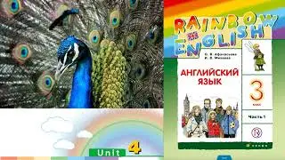 Rainbow English 3-1, Unit 4 Step 2, Английский язык 3 класс ч.1, Афанасьева.