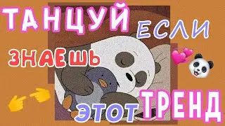 💕 Танцуй если знаешь этот тренд 💕 Тик Ток Тренды 🐼✨ Tik Tok Great