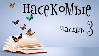 Насекомые для детей. Учим насекомых. Часть 3