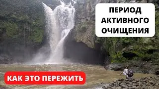 Период активного очищения организма. Как это пережить.