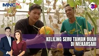 Keliling Seru Taman Buah, Pengunjung Bisa Memetik Langsung di Kebun - LIP 02/11