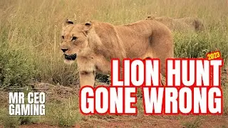 Lion Hunt Gone Wrong in Africa The Hunter Call of the Wild