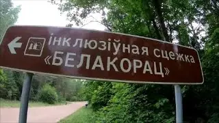 Экасцежка Белакорац. Налібоцкая пушча. Ecological trail Belokorets.  Nalibokskaya Pushcha.