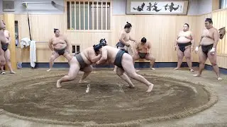 A day in the lives of sumo wrestlers