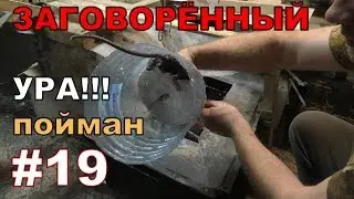 #19.   Охота на КРЫС с комплексом 