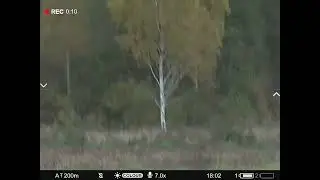 охота на косулю. открытие 2022. pulsar digex c50