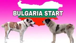 Болгария / Зарождение САО / Истории из жизни