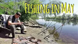 Fishing in May 2017 - opening season  / Рыбалка в Мае 2017 - открытие сезона