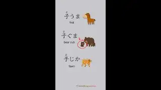 Kanji 子 for Animal Children: 子ねこ "kitten"  - JLPT N5 Kanji #kanjilearning  #n5kanji